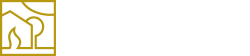 Vision